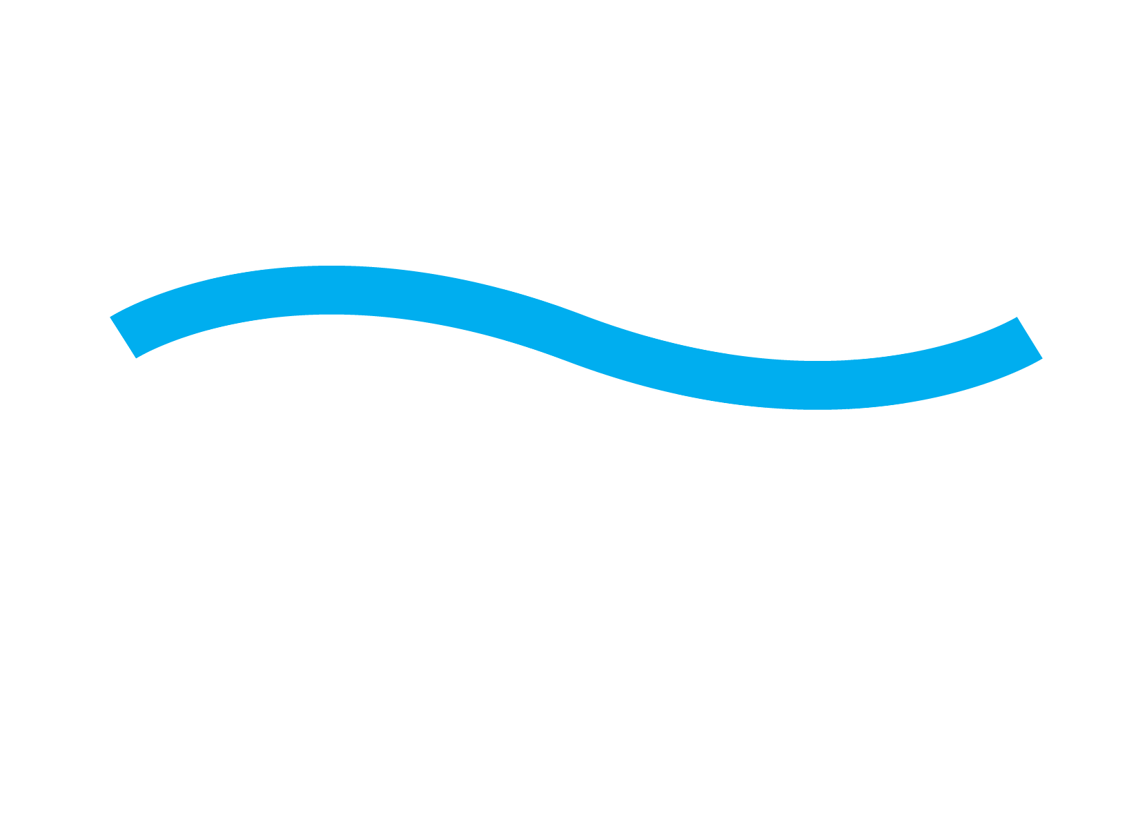 The International Flow Battery Forum
